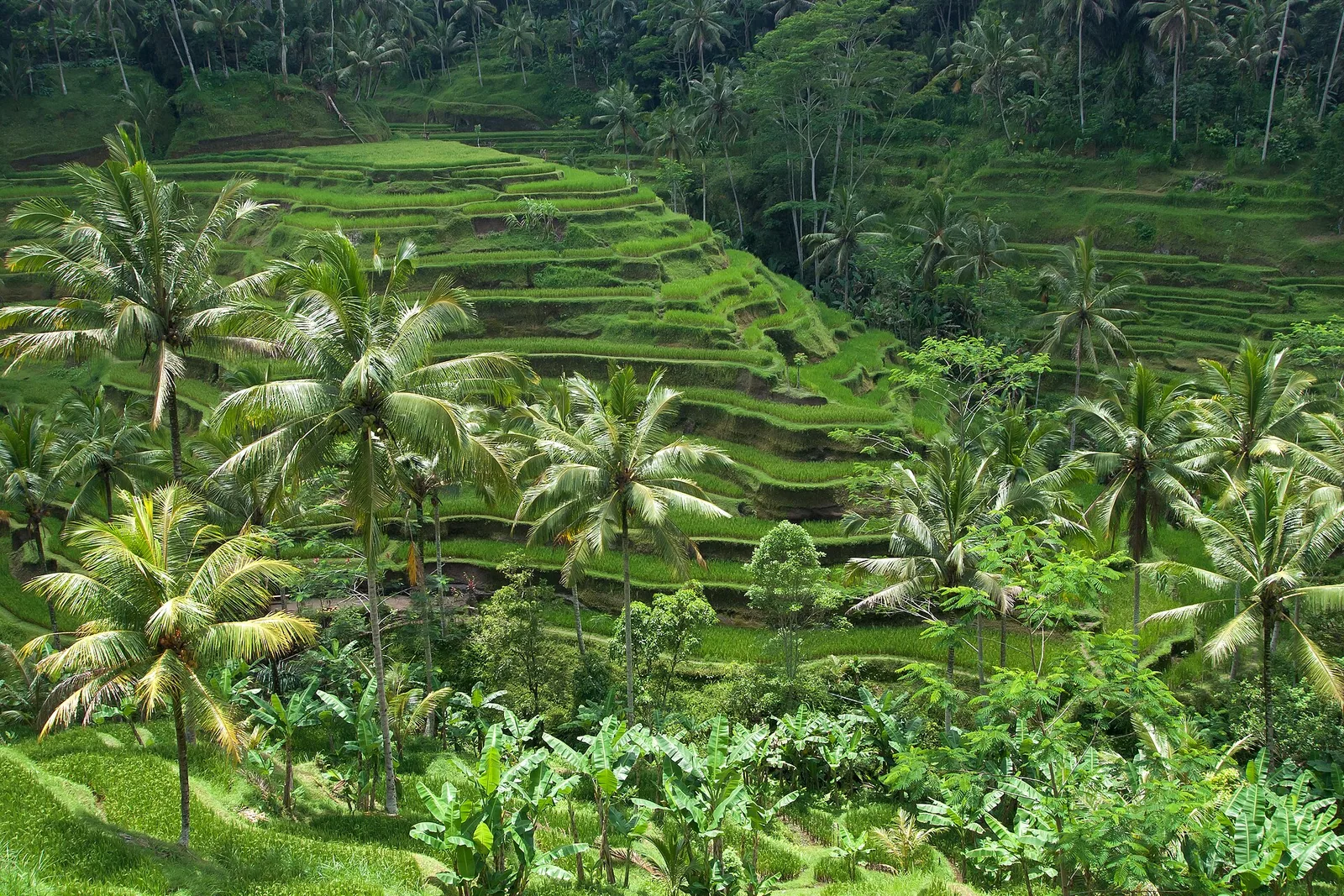 Bali destination