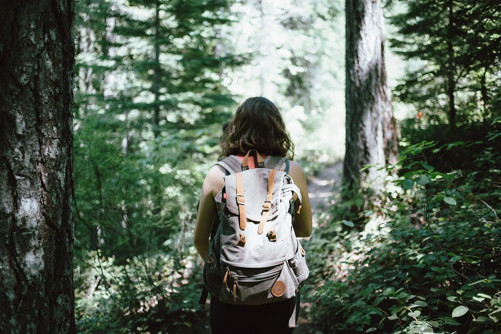 A solo traveler walking through a forest
